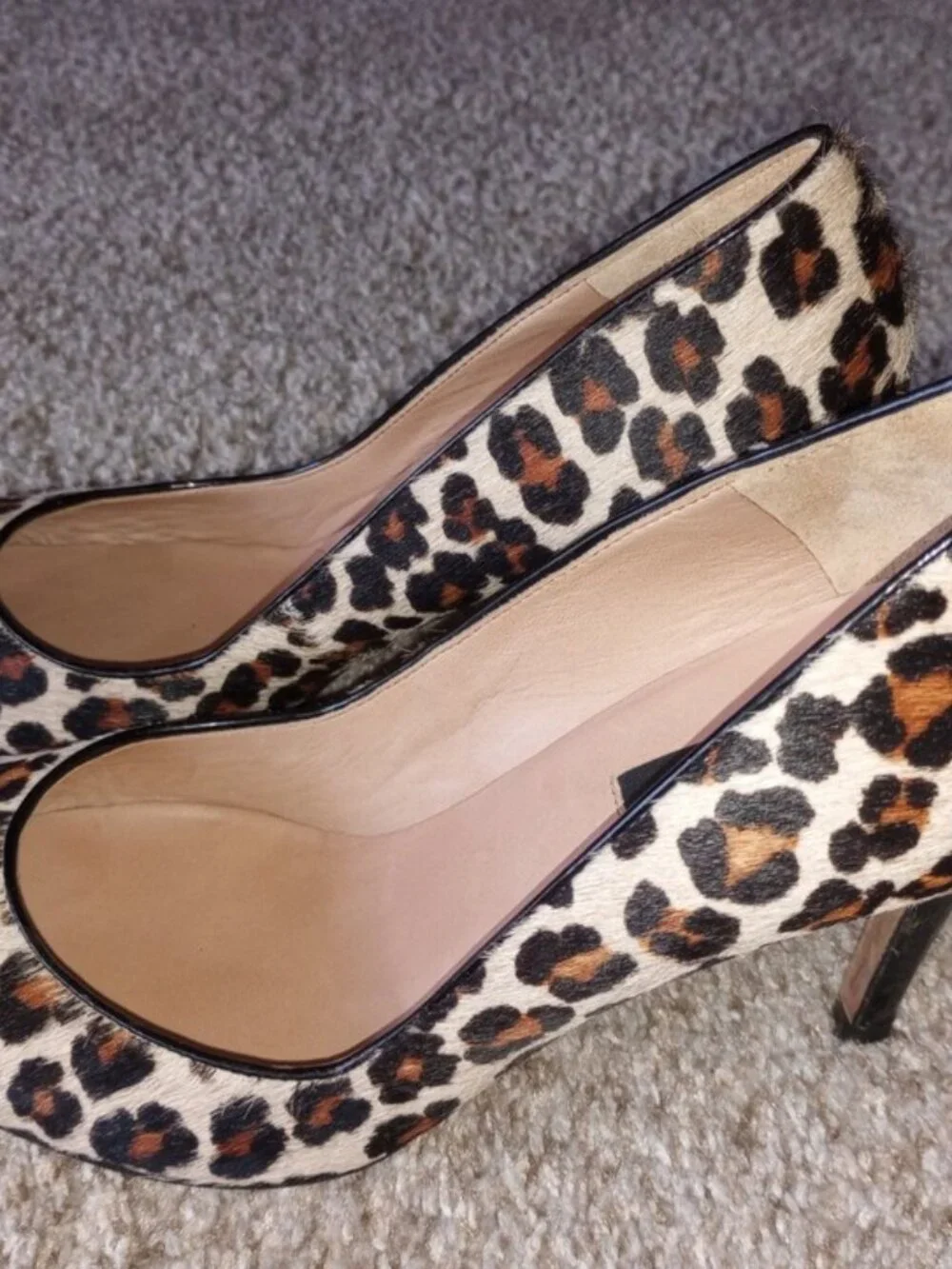 Ann Taylor leopard-print shoes , size 6 M